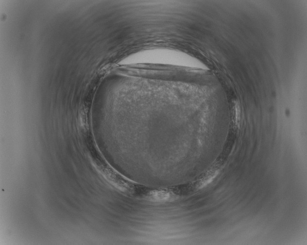 X0000079280272200612081801