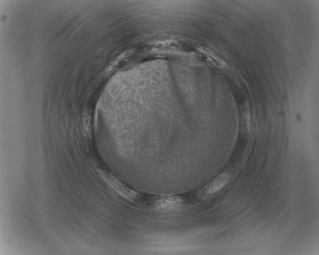 X0000079280274200612081801