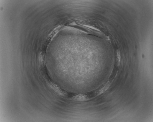 X0000079280276200612081801