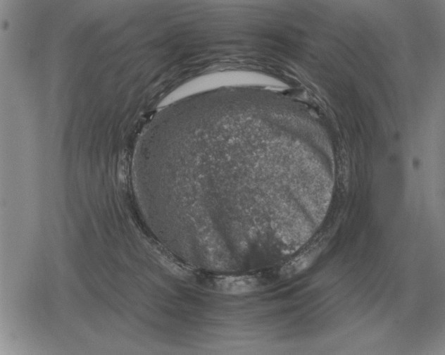 X0000079280277200612081801