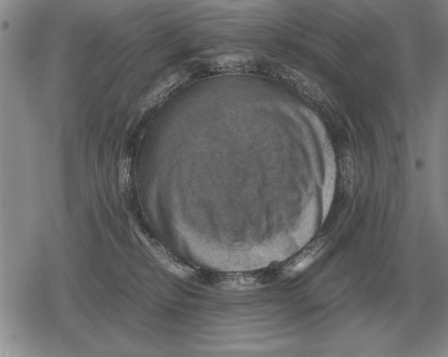 X0000079280278200612081801