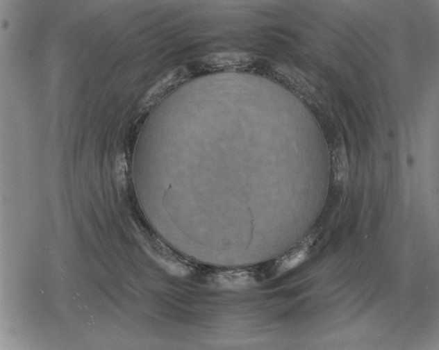 X0000079280279200612081801