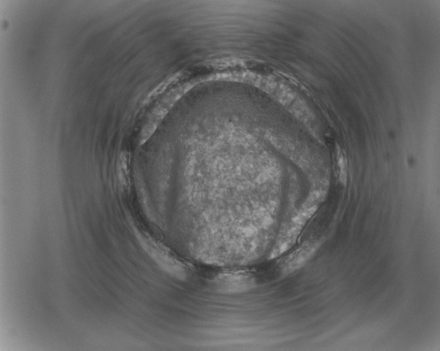 X0000079280280200612081801