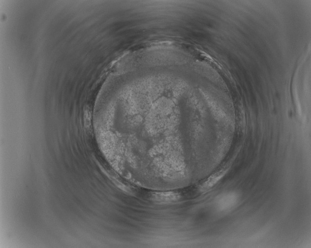 X0000079280281200612081801