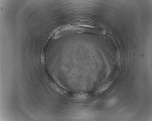 X0000079280282200612081801