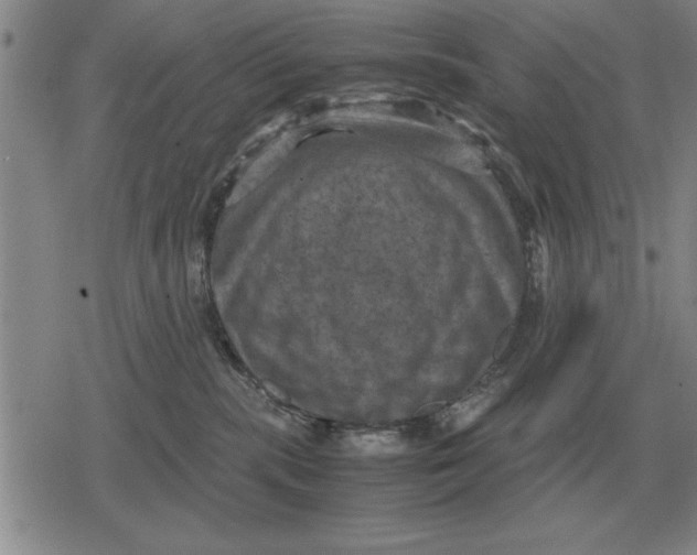 X0000079280283200612081801