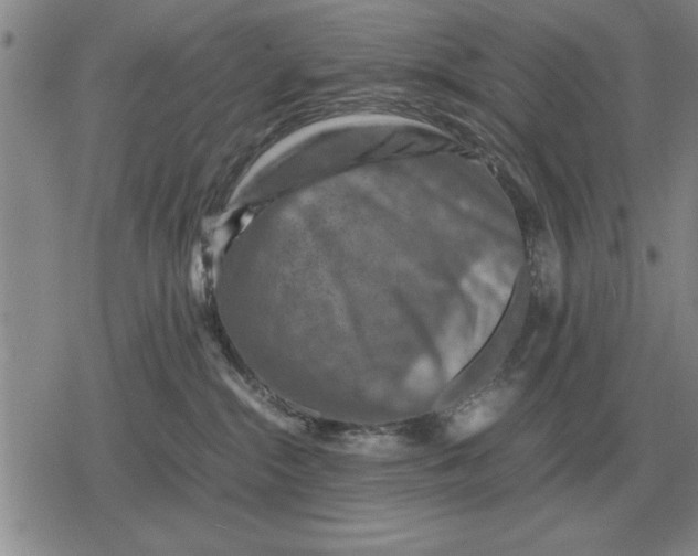 X0000079280284200612081801