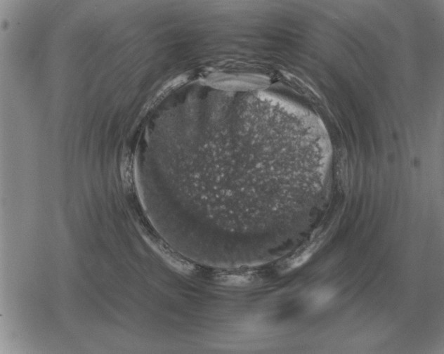 X0000079280285200612081801