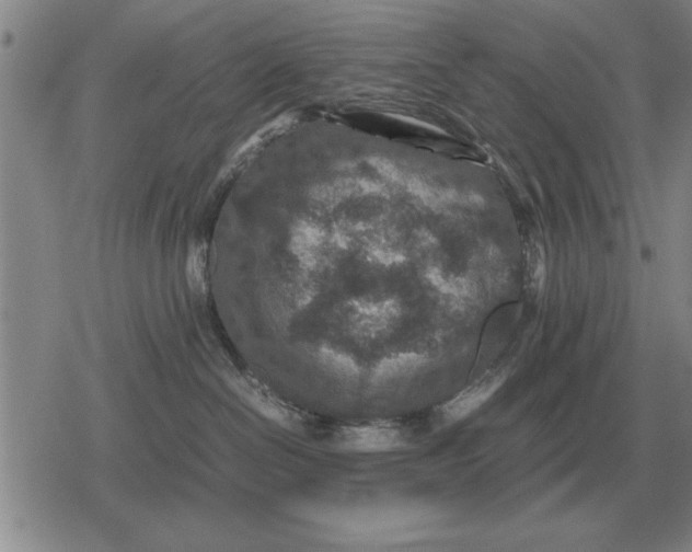 X0000079280286200612081801