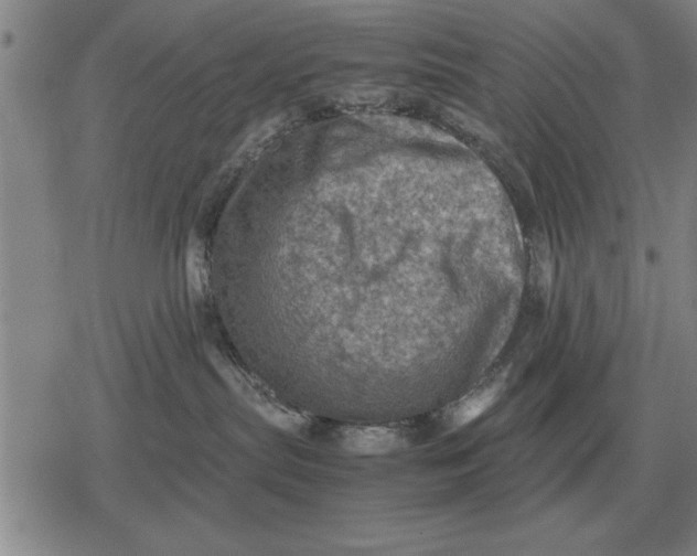 X0000079280287200612081801