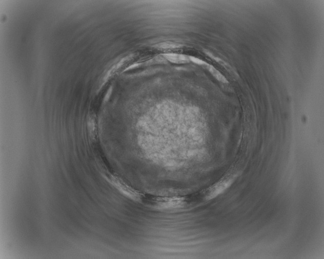 X0000079280288200612081801