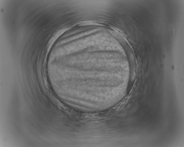 X0000079280289200612081800