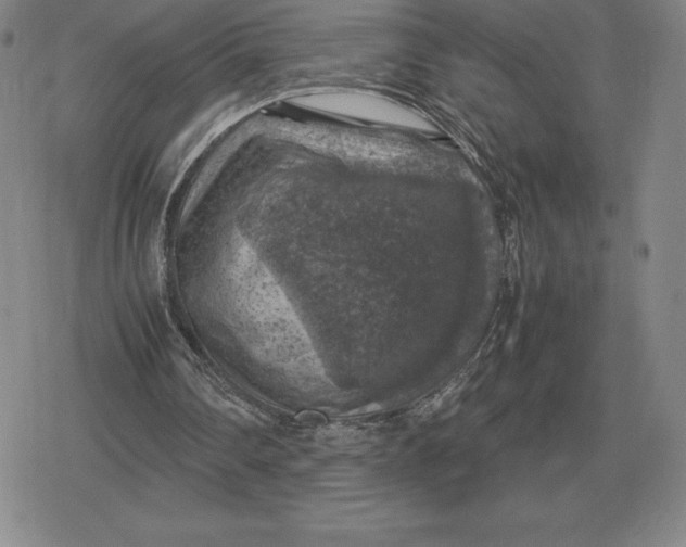 X0000079280290200612081800