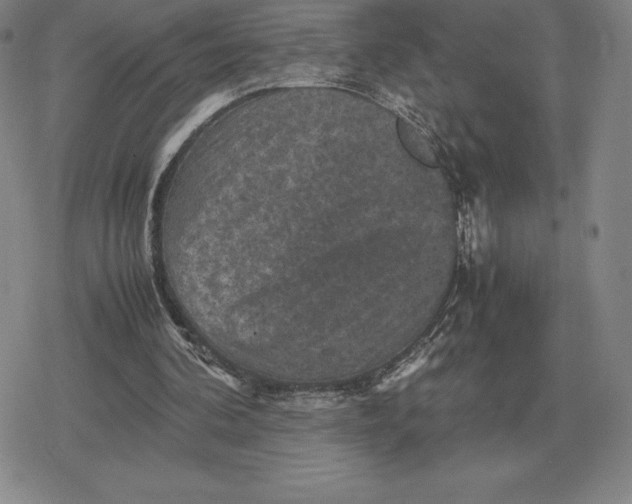 X0000079280292200612081800