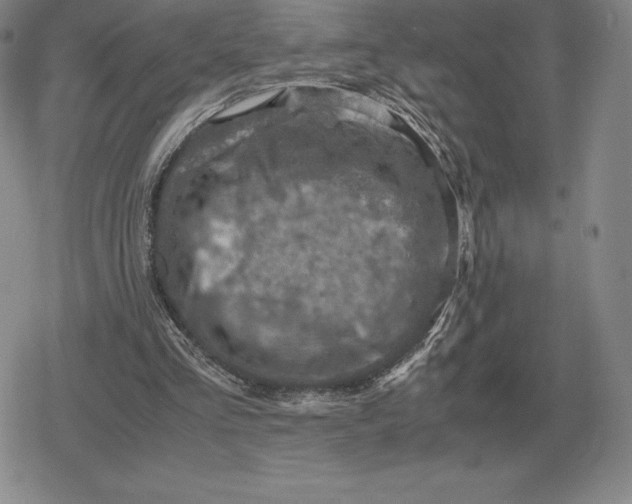 X0000079280293200612081800