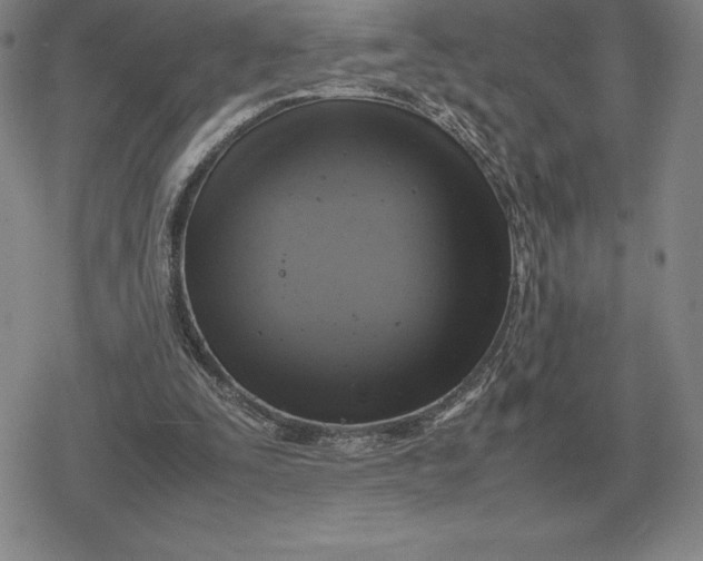 X0000079280295200612081800