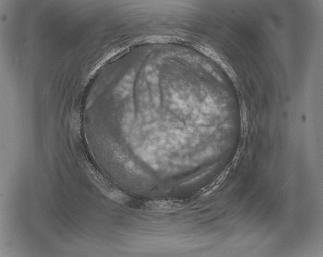 X0000079280297200612081800