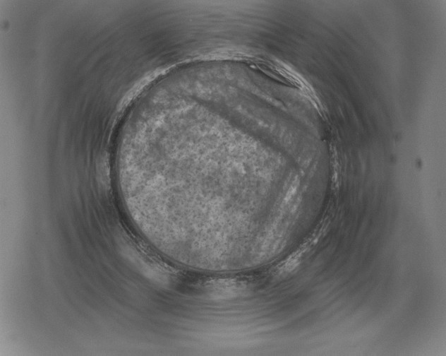 X0000079280298200612081800