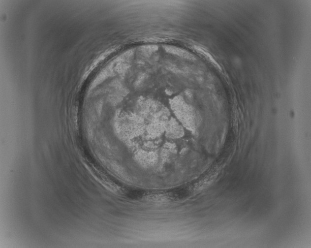 X0000079280299200612081800