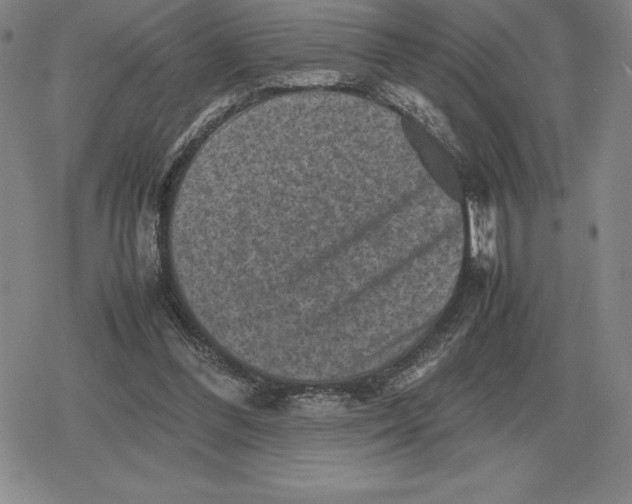 X0000079280300200612081800