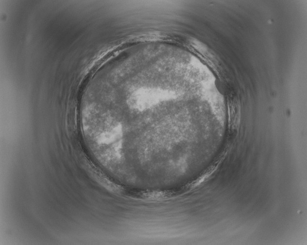 X0000079280301200612081800