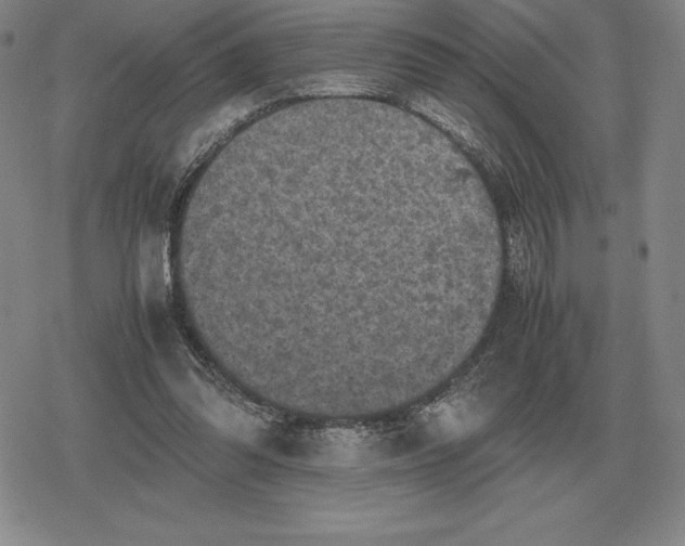 X0000079280302200612081800