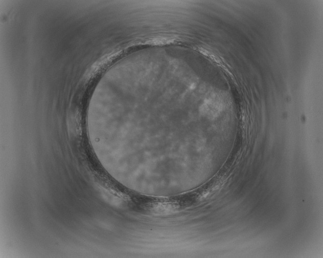 X0000079280303200612081800