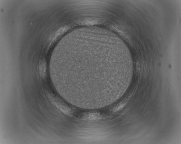 X0000079280304200612081800