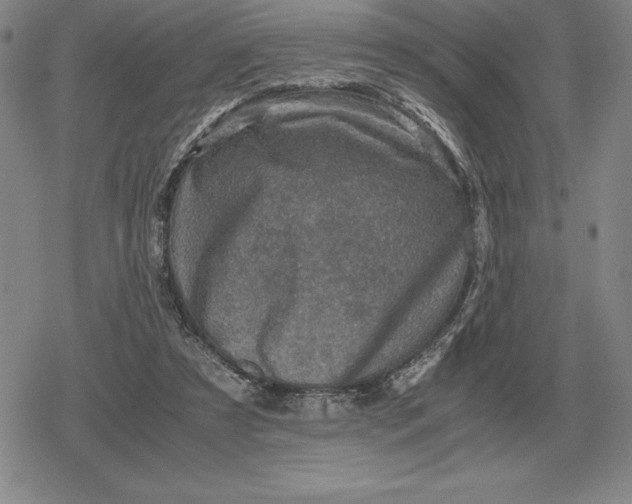 X0000079280305200612081800