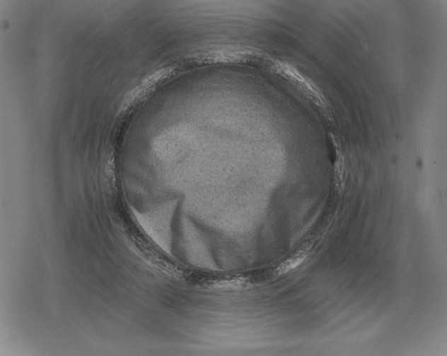 X0000079280306200612081800