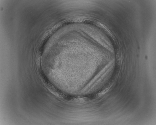 X0000079280307200612081800