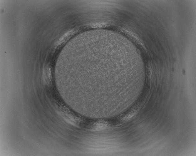 X0000079280308200612081800