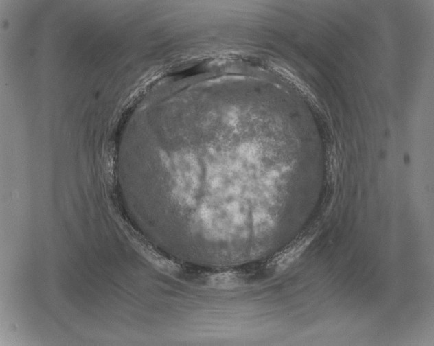 X0000079280309200612081800