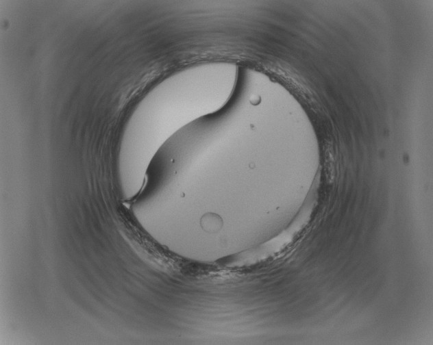 X0000079280310200612081800