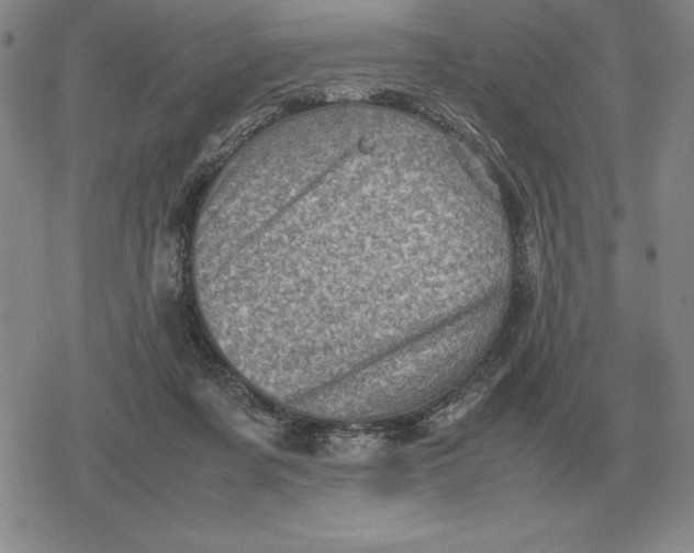 X0000079280311200612081800