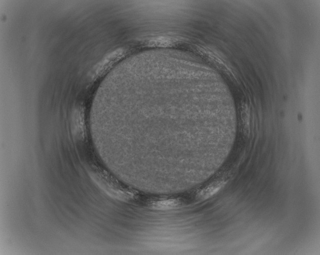 X0000079280312200612081800