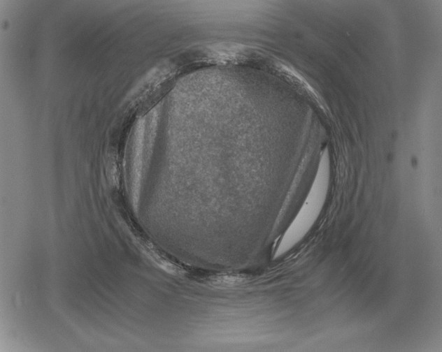 X0000079280313200612081800