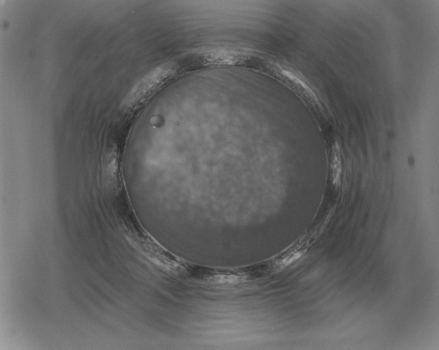 X0000079280314200612081800