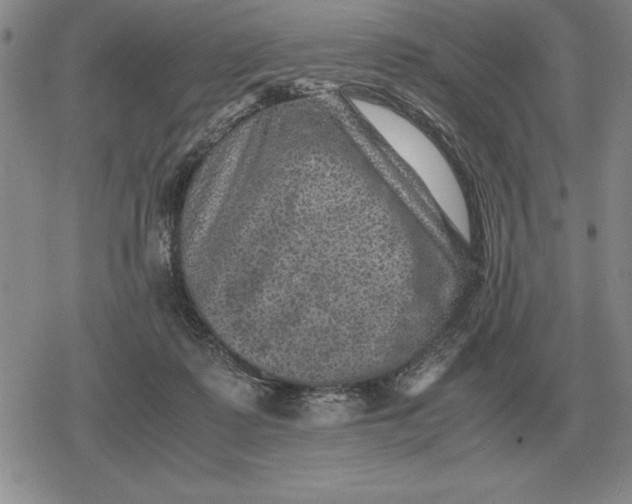 X0000079280315200612081800