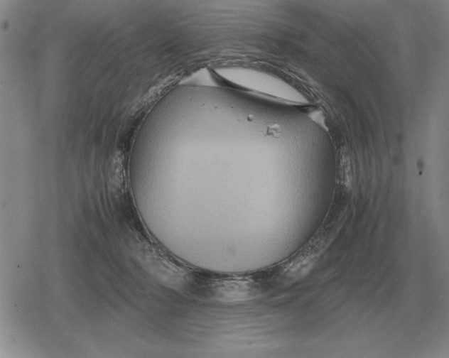 X0000079280318200612081800