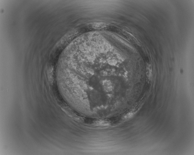 X0000079280319200612081759