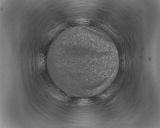 X0000079280320200612081759