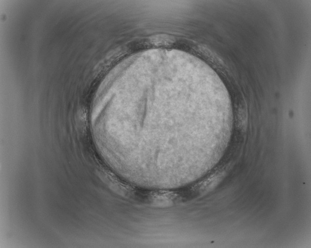 X0000079280321200612081759