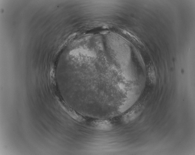 X0000079280322200612081759