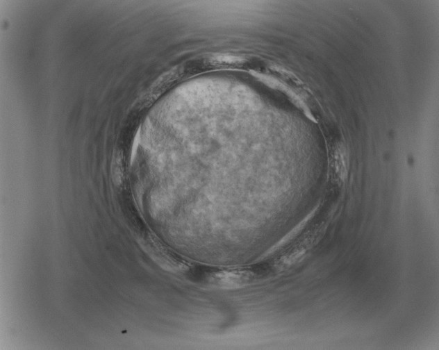 X0000079280323200612081759