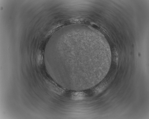 X0000079280324200612081759