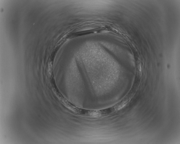 X0000079280325200612081759