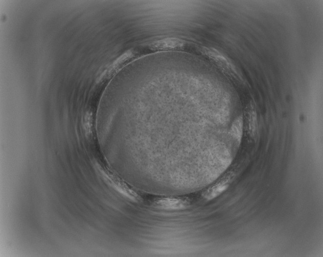 X0000079280326200612081759