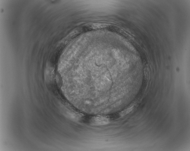 X0000079280327200612081759