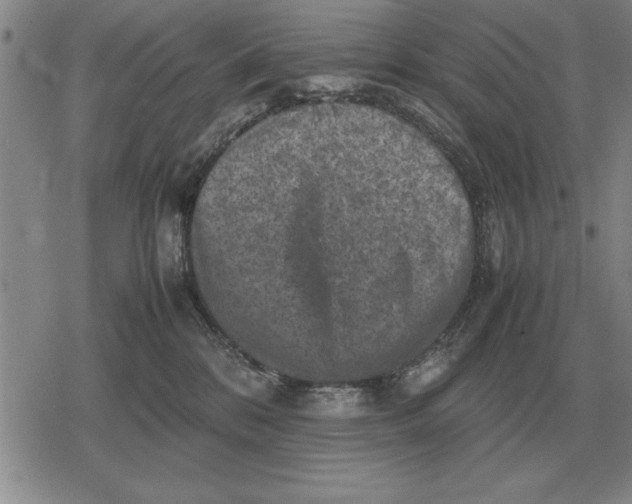 X0000079280328200612081759